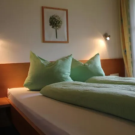 Guest house Haus Amadeo Flachau
