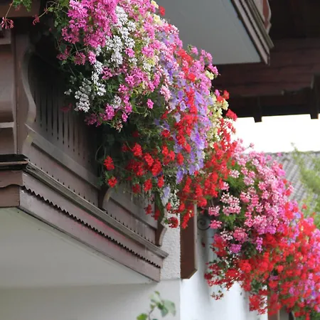 Haus Amadeo Flachau